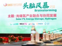 新年展新“綠”，“綠電”制氫加速！ SNEC氫能產(chǎn)業(yè)聯(lián)盟2022(第一季度)頭腦風(fēng)暴隆重舉行