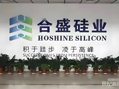 砸270億建廠，三年后產能利用率仍為0！“硅王”腸子悔青
